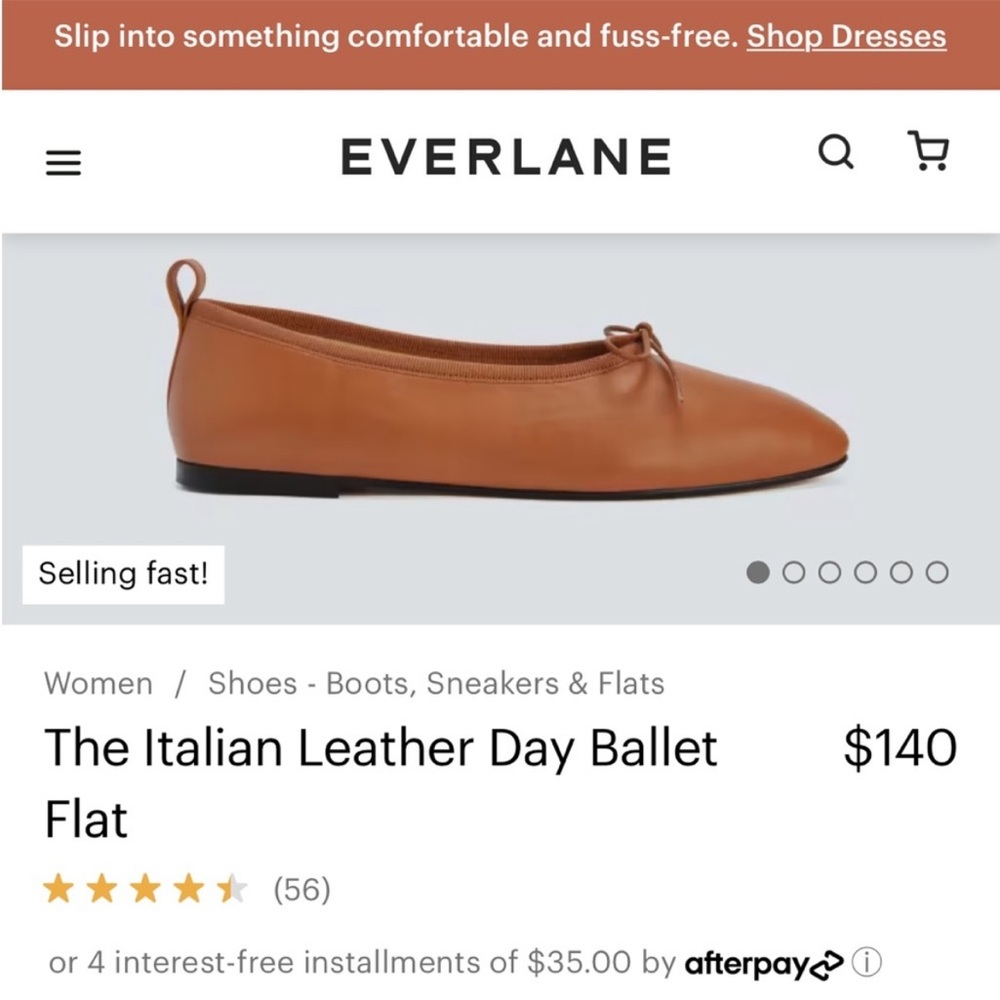 Brand new Everlane day ballet flats Sugar Almond